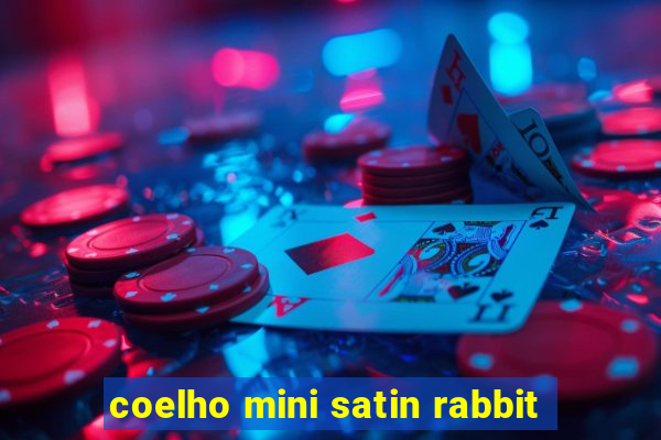 coelho mini satin rabbit